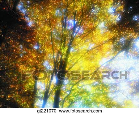 outdoor, exterior, day, daytime, daylight, nature, scene View Large Photo Image Stock Image - outdoor, exterior, day, daytime, daylight, nature, scene. Fotosearch