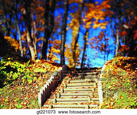 Stock Image - outdoor, exterior, day, daytime, daylight, stairs, staircase. Fotosearch