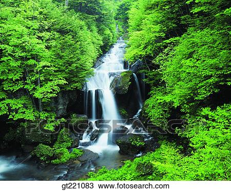 outdoor, exterior, day, daytime, daylight, nature, scene View Large Photo Image Stock Image - outdoor, exterior, day, daytime, daylight, nature, scene. Fotosearch