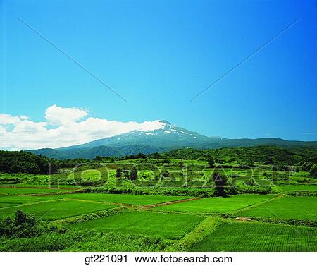 outdoor, exterior, day, daytime, daylight, nature, scene View Large Photo Image Stock Image - outdoor, exterior, day, daytime, daylight, nature, scene. Fotosearch