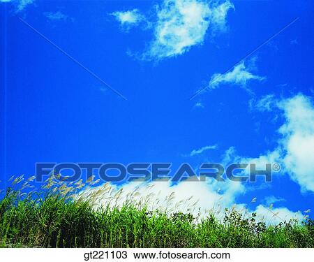 outdoor, exterior, day, daytime, daylight, sky, nature View Large Photo Image Stock Image - outdoor, exterior, day, daytime, daylight, sky, nature. Fotosearch