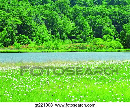 outdoor, exterior, day, daytime, daylight, nature, scene View Large Photo Image Stock Photo - outdoor, exterior, day, daytime, daylight, nature, scene. Fotosearch
