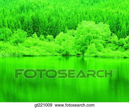 outdoor, exterior, day, daytime, daylight, nature, scene View Large Photo Image Stock Photo - outdoor, exterior, day, daytime, daylight, nature, scene. Fotosearch