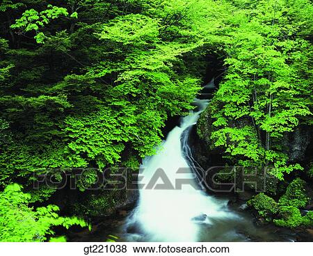 outdoor, exterior, day, daytime, daylight, nature, scene View Large Photo Image Stock Photo - outdoor, exterior, day, daytime, daylight, nature, scene. Fotosearch