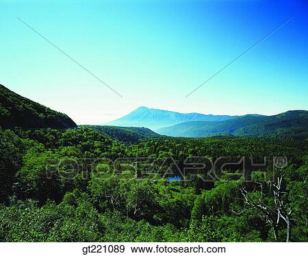 outdoor, exterior, day, daytime, daylight, nature, scene View Large Photo Image Stock Photo - outdoor, exterior, day, daytime, daylight, nature, scene. Fotosearch