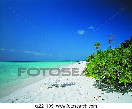 Stock Photo - outdoor, exterior, day, daytime, daylight, beach, resort. Fotosearch