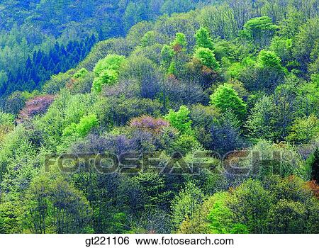 outdoor, exterior, day, daytime, daylight, nature, scene View Large Photo Image Stock Photograph - outdoor, exterior, day, daytime, daylight, nature, scene. Fotosearch