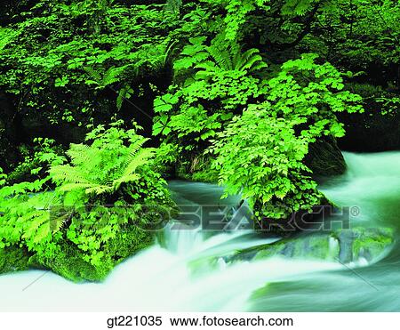 outdoor, exterior, day, daytime, daylight, nature, scene View Large Photo Image Stock Photography - outdoor, exterior, day, daytime, daylight, nature, scene. Fotosearch