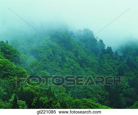 Stock Photography - outdoor, exterior, day, daytime, daylight, nature, scene. Fotosearch