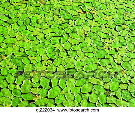 outdoor, exterior, day, daytime, daylight, nature, scene View Large Photo Image Picture - outdoor, exterior, day, daytime, daylight, nature, scene. Fotosearch