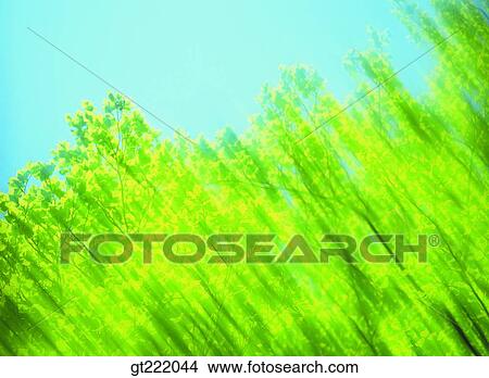 outdoor, exterior, day, daytime, daylight, tree View Large Photo Image Picture - outdoor, exterior, day, daytime, daylight, tree. Fotosearch
