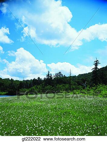 outdoor, exterior, day, daytime, daylight, nature, scene View Large Photo Image Stock Image - outdoor, exterior, day, daytime, daylight, nature, scene. Fotosearch