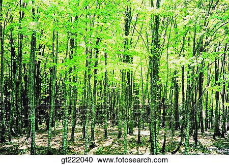 outdoor, exterior, day, daytime, daylight, nature, scene View Large Photo Image Stock Image - outdoor, exterior, day, daytime, daylight, nature, scene. Fotosearch