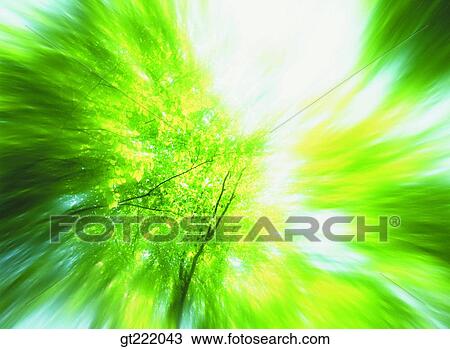 outdoor, exterior, day, daytime, daylight, tree, sunlight View Large Photo Image Stock Image - outdoor, exterior, day, daytime, daylight, tree, sunlight. Fotosearch