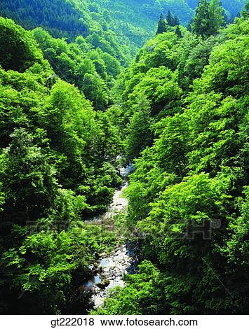outdoor, exterior, day, daytime, daylight, nature, scene View Large Photo Image Stock Photo - outdoor, exterior, day, daytime, daylight, nature, scene. Fotosearch
