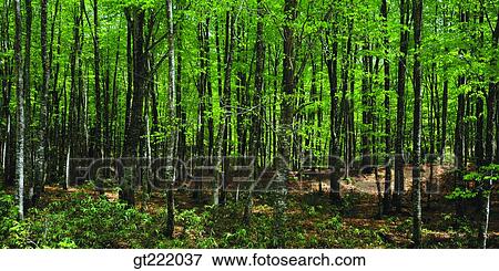 outdoor, exterior, day, daytime, daylight, nature, scene View Large Photo Image Stock Photo - outdoor, exterior, day, daytime, daylight, nature, scene. Fotosearch