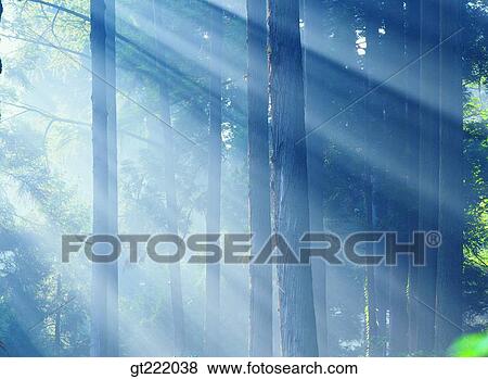 outdoor, exterior, day, daytime, daylight, nature, scene View Large Photo Image Stock Photo - outdoor, exterior, day, daytime, daylight, nature, scene. Fotosearch