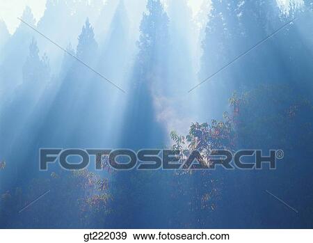 Stock Photo - outdoor, exterior, day, daytime, daylight, nature, scene. Fotosearch