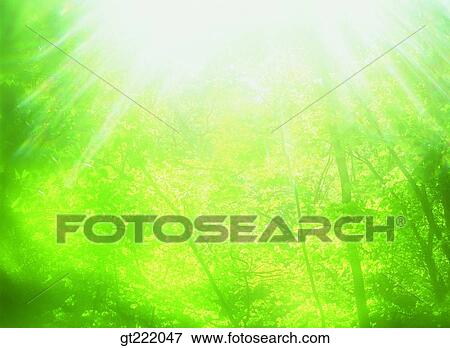 outdoor, exterior, day, daytime, daylight, tree, sunlight View Large Photo Image Stock Photo - outdoor, exterior, day, daytime, daylight, tree, sunlight. Fotosearch