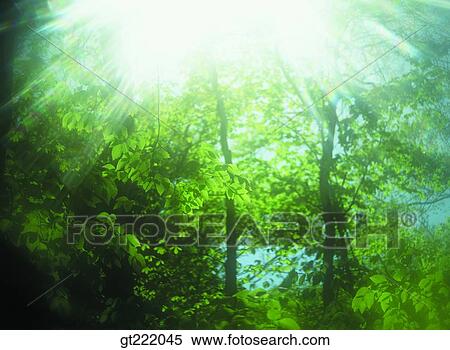 outdoor, exterior, day, daytime, daylight, tree, sunlight View Large Photo Image Stock Photography - outdoor, exterior, day, daytime, daylight, tree, sunlight. Fotosearch
