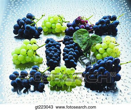 Stock Image - grape, fruit, grape. Fotosearch