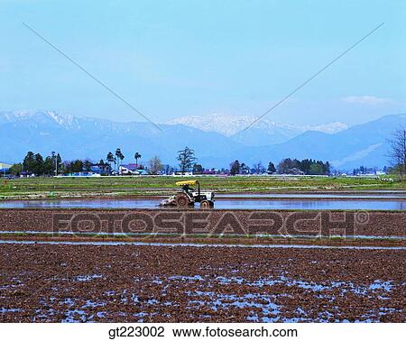 Korea, people, person, outdoor, exterior, day, daytime View Large Photo Image Stock Image - Korea, people, person, outdoor, exterior, day, daytime. Fotosearch