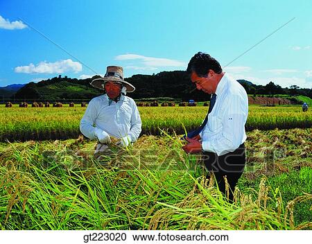 Korea, people, person, outdoor, exterior, day, daytime View Large Photo Image Stock Image - Korea, people, person, outdoor, exterior, day, daytime. Fotosearch