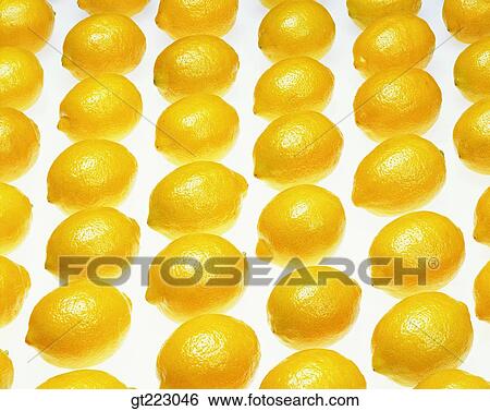 np person, lemon, fruit, continuity, consecutive, successive, yellow View Large Photo Image Stock Photograph - np person, lemon, fruit, continuity, consecutive, successive, yellow. Fotosearch
