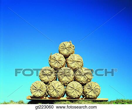 outdoor, exterior, day, daytime, daylight, tower, pagoda View Large Photo Image Stock Image - outdoor, exterior, day, daytime, daylight, tower, pagoda. Fotosearch