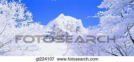 Korea, Cheju, Cheju Island, isle, gate, iris View Large Photo Image Stock Photo - Korea, Cheju, Cheju Island, isle, gate, iris. Fotosearch