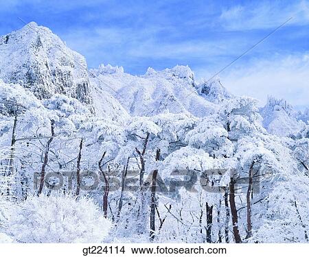 Picture - Korea, Cheju Island, Cheju, Cheju Subjikoji. Fotosearch
