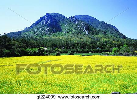 Stock Photo - Korea, Cheju Island, Cheju, Cheju sambang mountain, mountain. Fotosearch