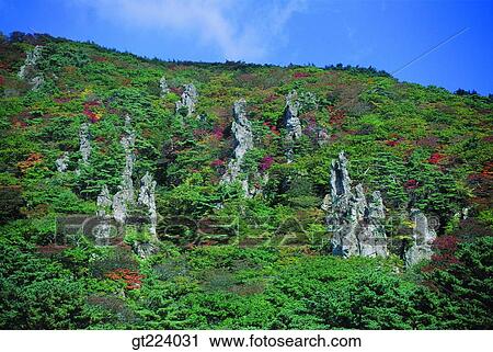 Stock Image - Korea, Cheju Island, Cheju, Halla mountain, halla mountain. Fotosearch