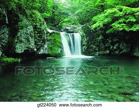 Korea, Cheju Island, Cheju, Halla mountain, halla mountain, valley View Large Photo Image Stock Image - Korea, Cheju Island, Cheju, Halla mountain, halla mountain, valley. Fotosearch