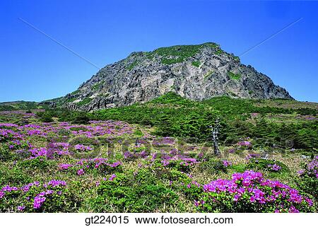 Stock Photography - Korea, Cheju Island, Cheju, halla mountain, Halla mountain. Fotosearch