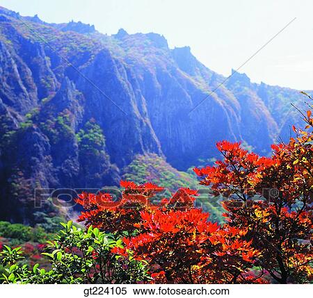 Korea, Cheju Island, Cheju, halla mountain, Halla mountain View Large Photo Image Stock Photography - Korea, Cheju Island, Cheju, halla mountain, Halla mountain. Fotosearch