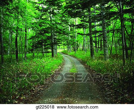 Stock Photo - Cheju Island, Cheju, Cheju Subjikoji. Fotosearch