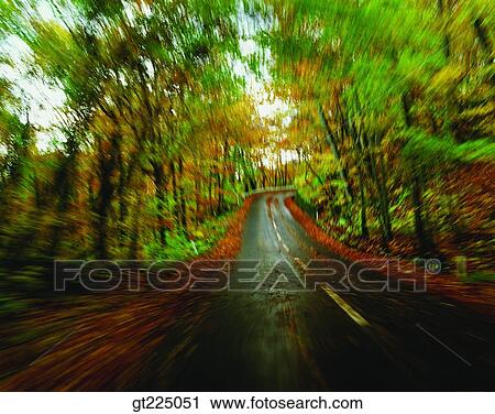 Cheju Island, Cheju, eulaliaEulalia, reed, field View Large Photo Image Stock Image - Cheju Island, Cheju, eulaliaEulalia, reed, field. Fotosearch