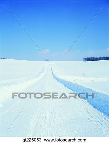 Stock Image - Cheju Island, Cheju, eulaliaEulalia, reed, field. Fotosearch