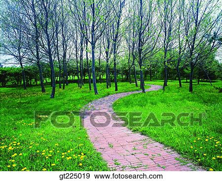 Cheju Island, Cheju, Halla mountain, halla mountain View Large Photo Image Stock Photo - Cheju Island, Cheju, Halla mountain, halla mountain. Fotosearch