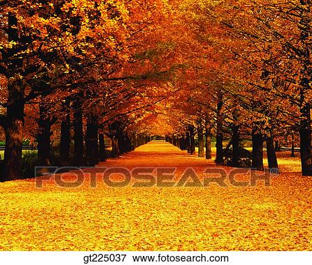 Cheju Island, Cheju, Halla mountain, halla mountain View Large Photo Image Stock Photo - Cheju Island, Cheju, Halla mountain, halla mountain. Fotosearch