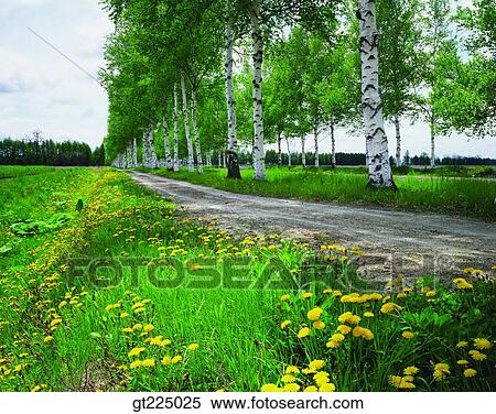 Cheju Island, Cheju, Halla mountain, halla mountain View Large Photo Image Stock Photography - Cheju Island, Cheju, Halla mountain, halla mountain. Fotosearch