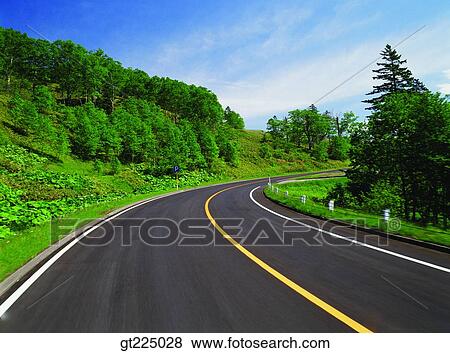 Cheju Island, Cheju, mandarin orange, tangerine, field View Large Photo Image Stock Photo - Cheju Island, Cheju, mandarin orange, tangerine, field. Fotosearch