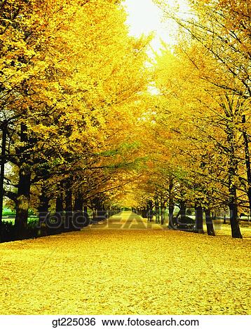 Cheju Island, Cheju, Sambang mountain View Large Photo Image Stock Photograph - Cheju Island, Cheju, Sambang mountain. Fotosearch