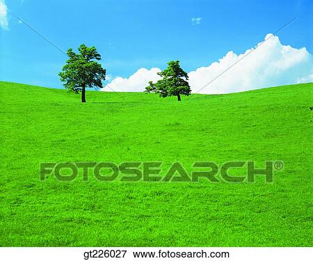 Stock Photo - Cheju Island, Cheju, cliff, bluff. Fotosearch