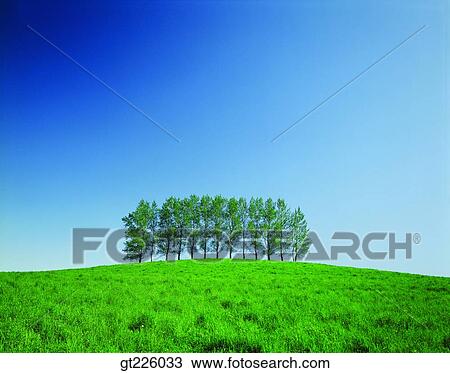 Stock Image - Cheju Island, Cheju, gate, door, island, isle. Fotosearch