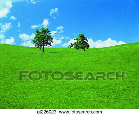 Stock Image - Cheju Island, Cheju, golf links, golf course. Fotosearch