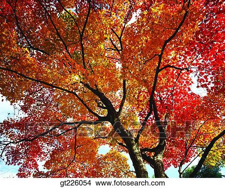 Picture - Cheju Island, Cheju, halla mountain, Halla mountain, Beakrockdam, halla mountain, beakrockdam. Fotosearch