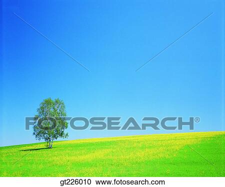 Stock Image - Cheju Island, Cheju, Halla mountain, halla mountain, snowscape, snow. Fotosearch
