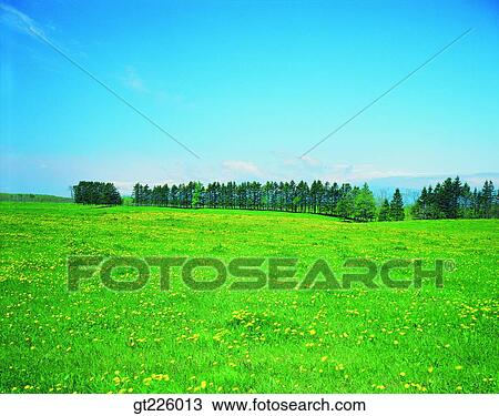 Cheju Island, Cheju, Halla mountain, halla mountain, snowscape, snow View Large Photo Image Stock Image - Cheju Island, Cheju, Halla mountain, halla mountain, snowscape, snow. Fotosearch